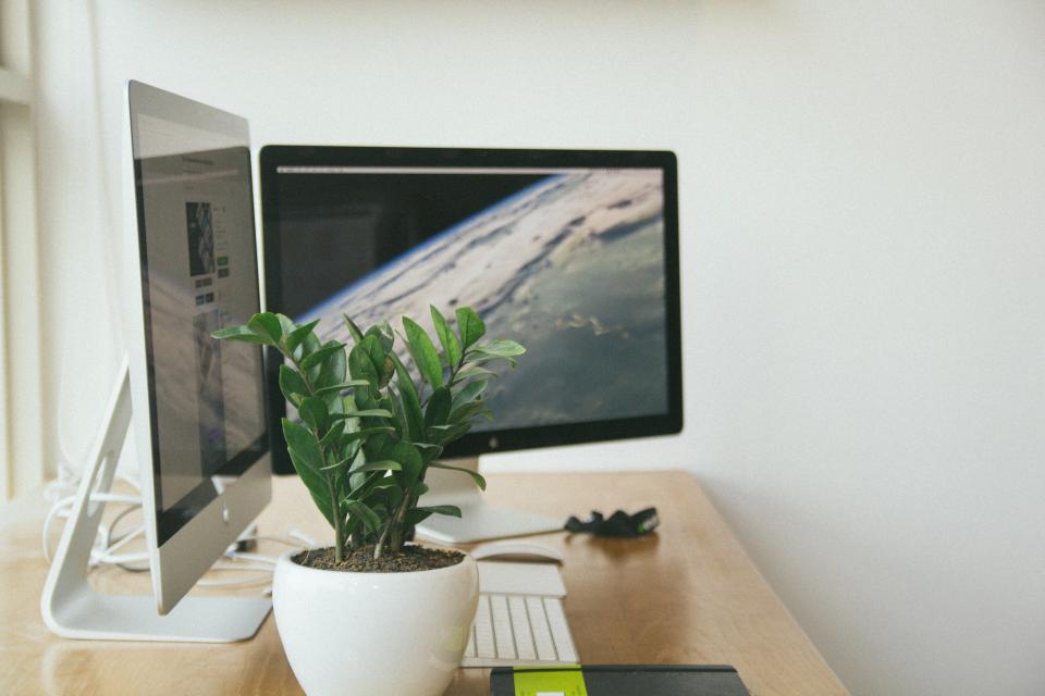 Mesa de trabalho com dois monitores, teclado sem fio e um vaso de planta ao centro